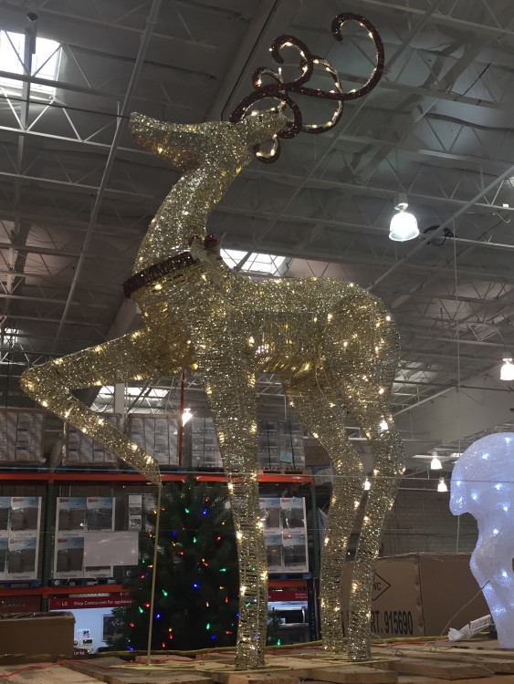 60" LED Deer at Costco