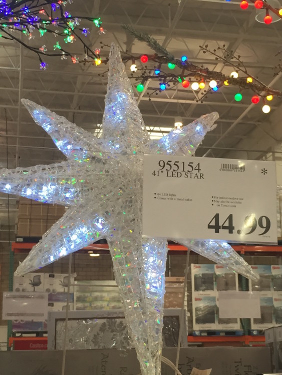 41" LED Star Holiday Decor at Costco