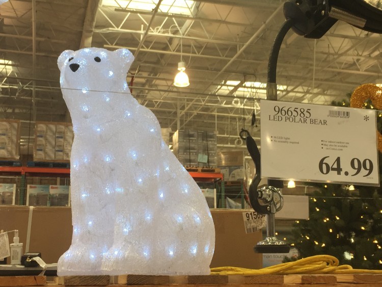 LED Polar Bear at Costco