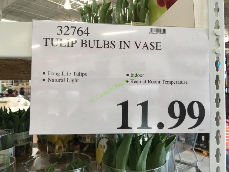 costco-32764-tulip-bulbs-in-vase-price