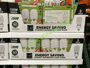 costco-766993-consery-enery-40w-cfl-energy-star-approved-all
