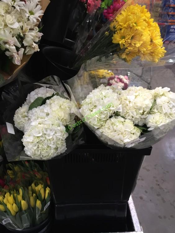 costcoflowervalentine3 CostcoChaser