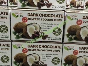 costco-1026348-dark-chocolate-coated-cocount-chips-all