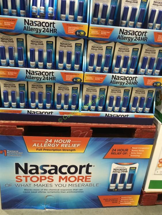 Nasacort Allergy 24 HR 3 X 120 Sprays CostcoChaser