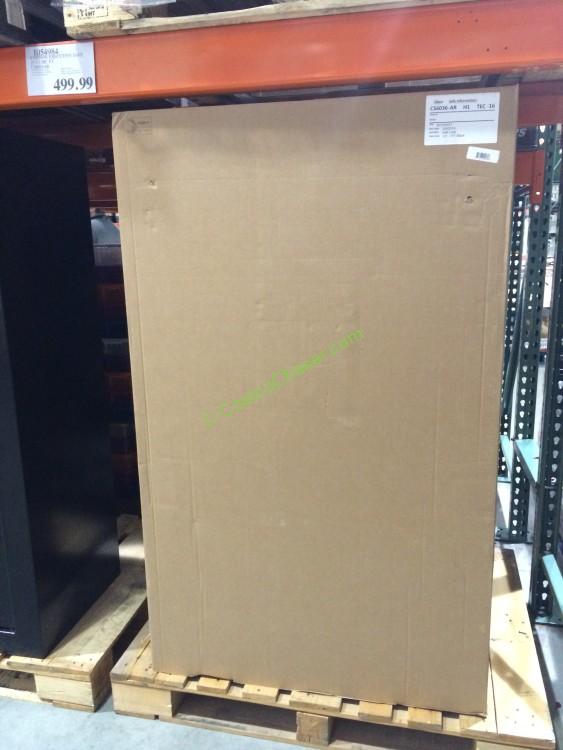 Cannon Executive safe 25 Cubic FT CS6036AR CostcoChaser