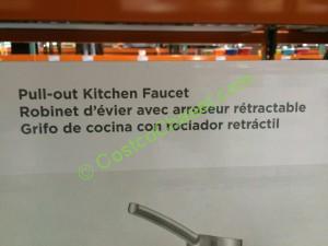 costco-962791-water-ridge-euro-style-kitchen-faucet-mark