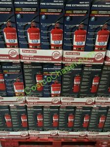 costco-540003-first-extinguisher-fe3a40grc-all