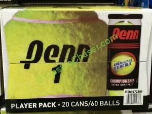costco-672381-penn-xtra-duty-20pk-tennis-balls-back