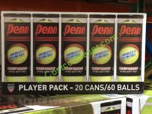 costco-672381-penn-xtra-duty-20pk-tennis-balls-box1