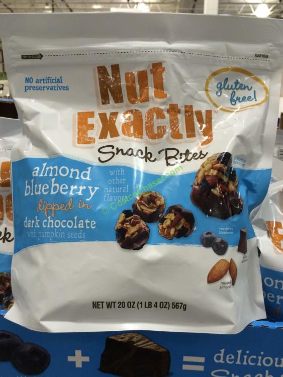 Nut Exactly Bites Almond Blueberry and Chocolate 20 Ounce Bag