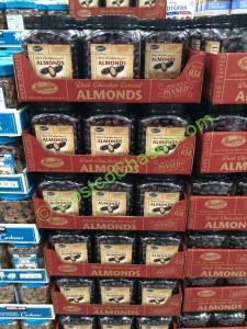 Costco-614506-Superior-Nut-Candy-Dark-Chocolate-Almonds-all