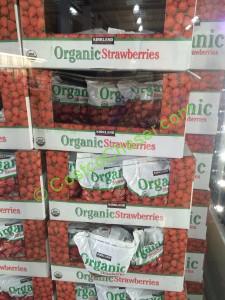 costco-799881-organic-pure-nature-strawberrie-all