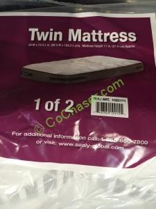 Costco-1020171-Sealy-Hawthorne-Twin-Firm-Mattress-Set-name