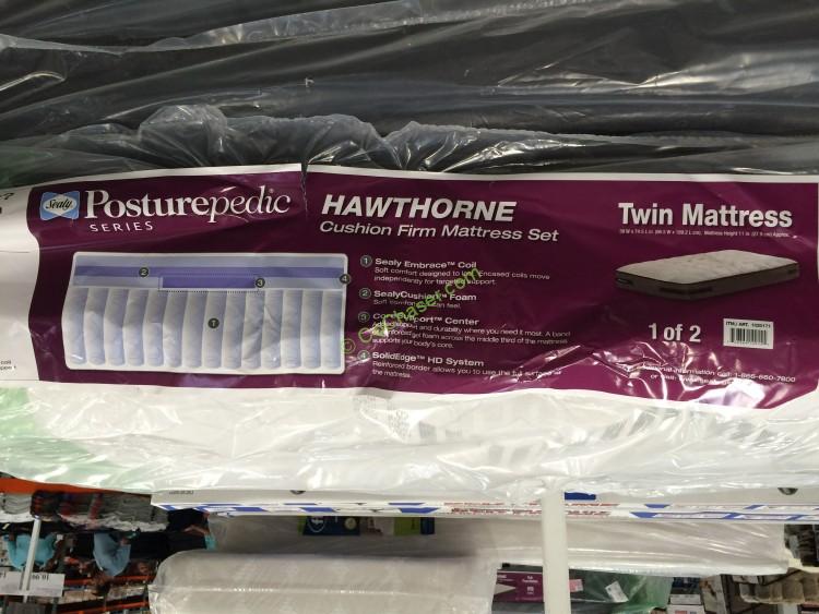 Sealy Hawthorne Twin Cushion Firm Mattress Set