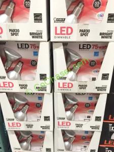 Costco-1045430- Felt-Electric-LED-PAR-30-Spot-all