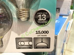 Costco-1050962-Felt-Electric-LED-Clear-Globe-part1