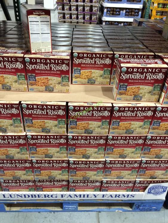 Lundberg Organic Sprouted Risotto 4/5.5 Ounce Boxes CostcoChaser