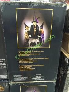 Costco-739766-3-Witches-Animated-with-Sound-and-LED-Lights-back