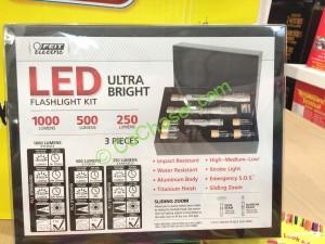 Costco-917951-Feit-LED-Flashlight-Kit-1000-Lumen-back