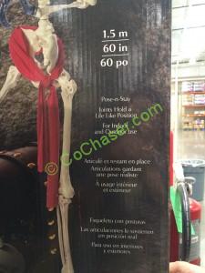 Costco-998101-60-Pirate-Skeleton-with-Parrot-inf
