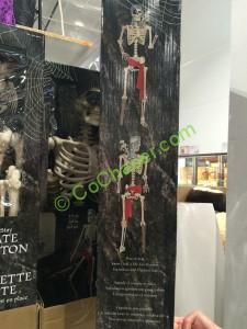 Costco-998101-60-Pirate-Skeleton-with-Parrot1