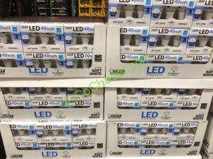 Costco-1026593-Felt-Electric-LED-40W-Replacement-all