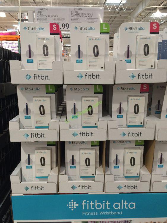 costco fitbit hr