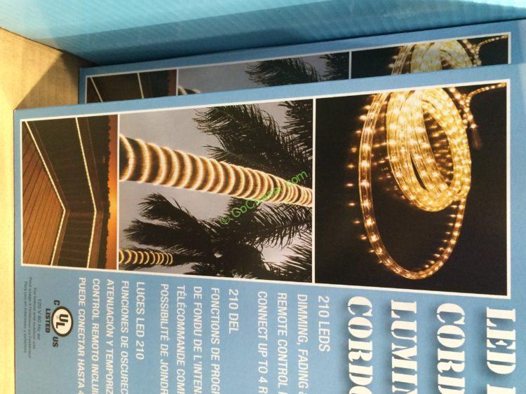 Costco70798816FTRopeLightwithRemoveControluse CostcoChaser