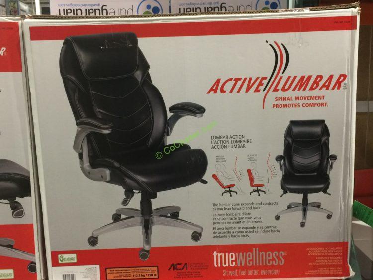 Costco-733288-True-Innovations-Active-Lumbar-Chair-box