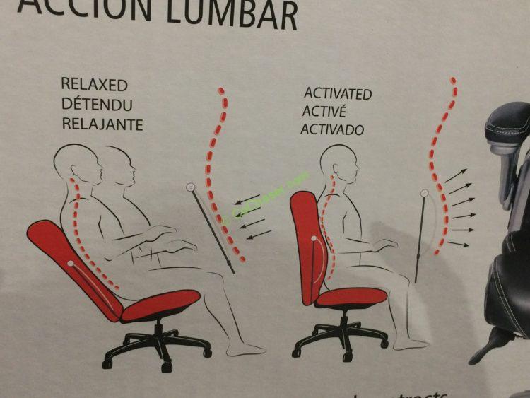 Costco-733288-True-Innovations-Active-Lumbar-Chair-way