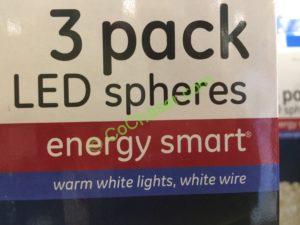 Costco-737922-GE-Energy-Smart-5.5-Super-Bright-LED-Spheres-name