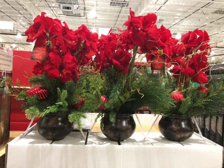 Artificial Potted Amaryllis CostcoChaser