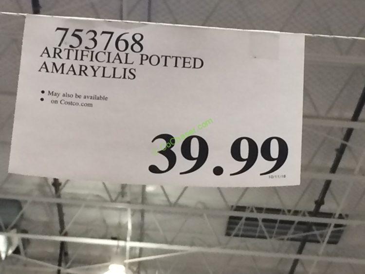 Costco-753768- Artificial-Potted-Amaryllis-tag