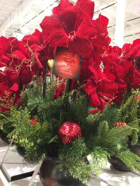 Artificial Potted Amaryllis CostcoChaser