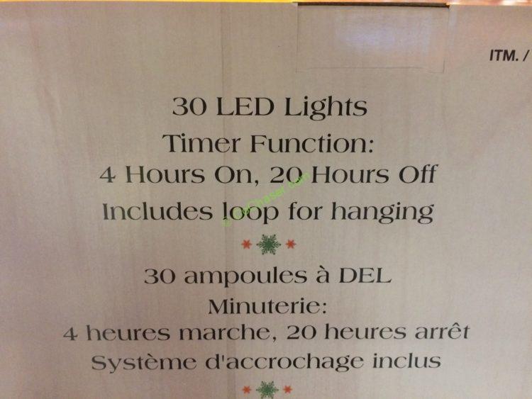 Costco-757557-LED-Metal-Marquee-Illuminated-Star-spec