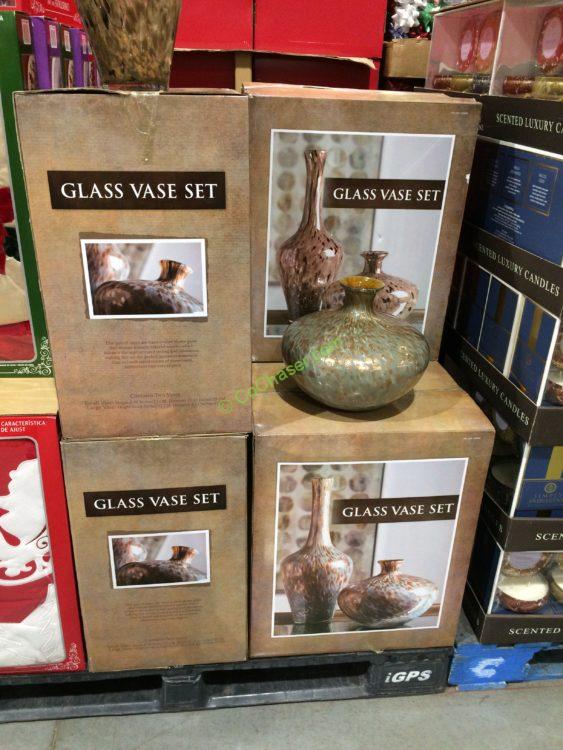 costco1039999Imax2PCGlassVaseall CostcoChaser