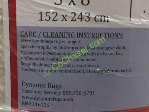 Costco-1080887-Dynamic-Rugs-the LUXE-Collection-inf