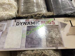 Costco-1080898-Dynamic-Rugs-the-LUXE-Collection-part