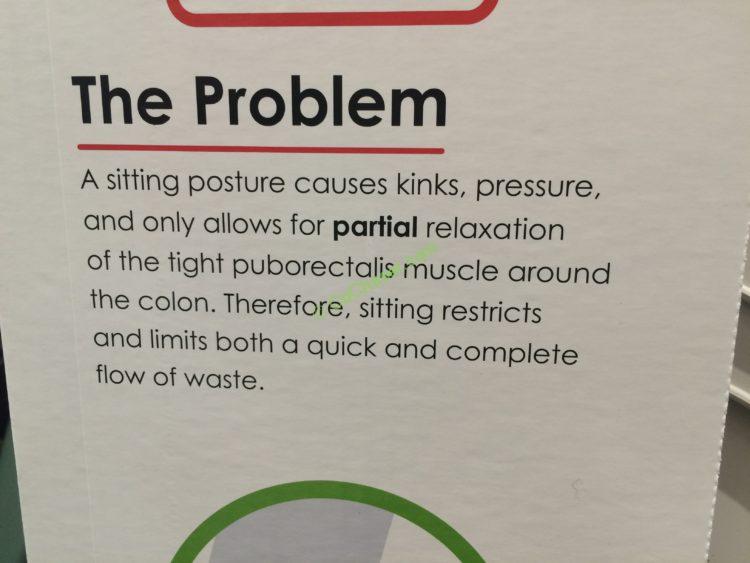 Costco1075343SquattyPottyToiletStoolinf CostcoChaser