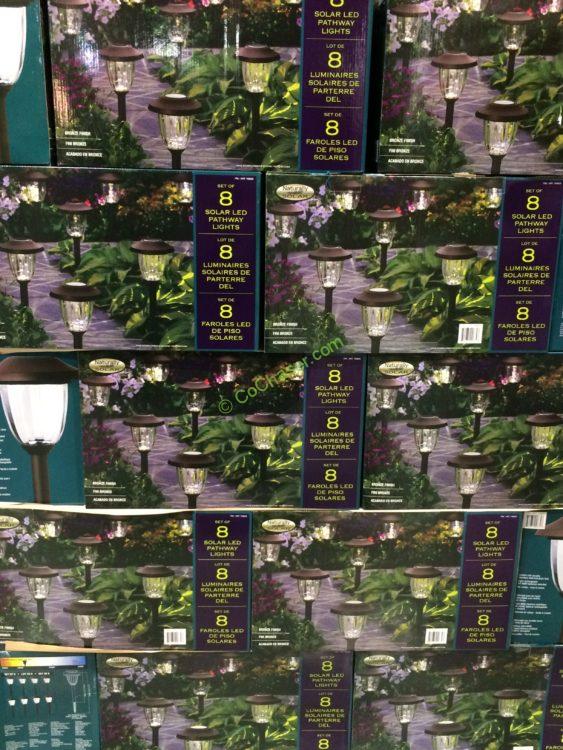 Costco708835PathwayLightsLEDSolarall CostcoChaser