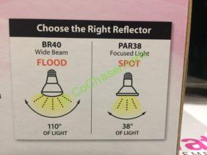 Costco-1027008-Feit-Electric-LED-BR40-Flood-use