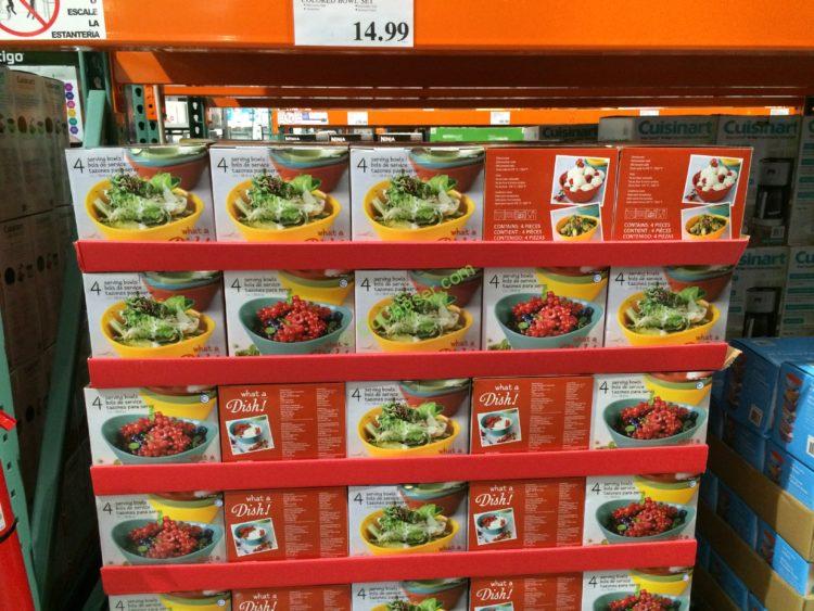 Costco1032787OverBackWhataDish4pieceColoredBowlSetall