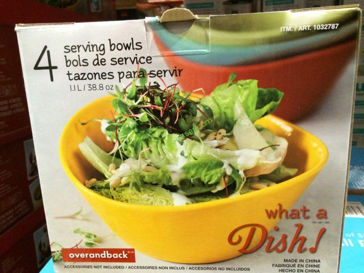 Costco1032787OverBackWhataDish4pieceColoredBowlSetback