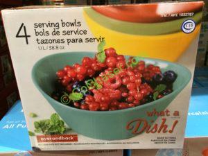 Costco-1032787-Over-Back-What-a-Dish-4piece-Colored-Bowl-Set-box