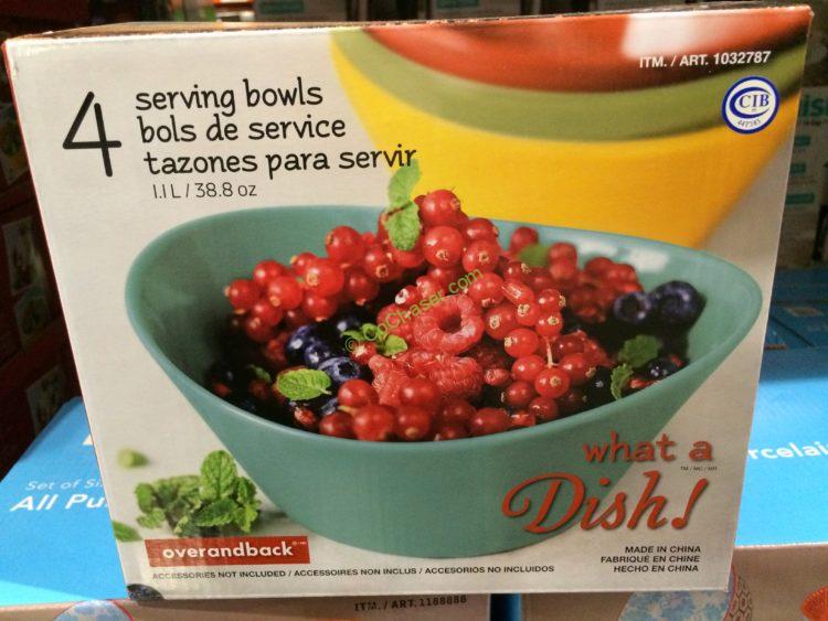 Costco1032787OverBackWhataDish4pieceColoredBowlSetbox