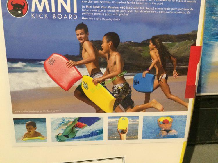 Costco1079032662BodyboardMiNiLickBoardpart CostcoChaser