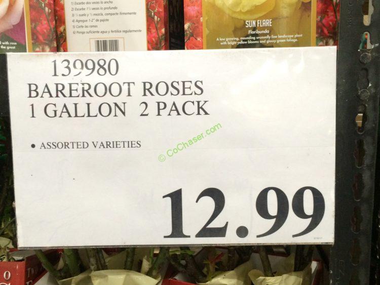 Costco139980BarerootRoses1Gallon2Packtag CostcoChaser