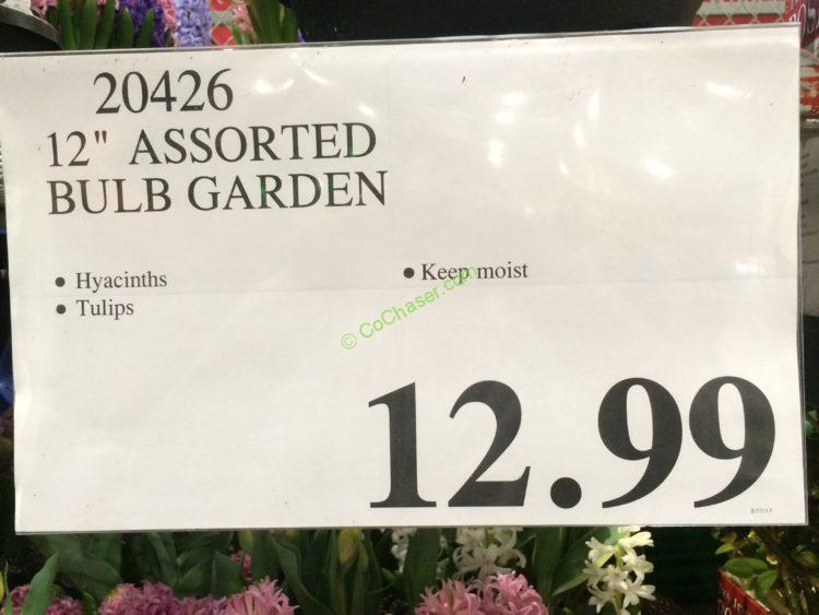 Costco-20426-12- Assorted-Blue-Garden-tag