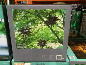 Costco-1031603-Outdoor-LED-Star-Light-back