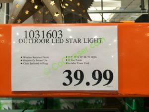 Costco-1031603-Outdoor-LED-Star-Light-tag